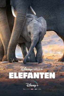 Elefanten