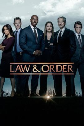 Law & Order - Staffel 22