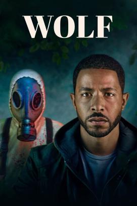 Wolf - Staffel 1